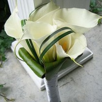 Wedding bouquet of callas 
